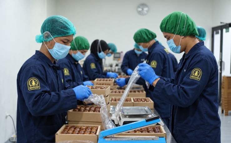 Maklon Repacking Kurma untuk Brand Sendiri: Panduan Memulai Bisnis Kurma Menjelang Ramadan
